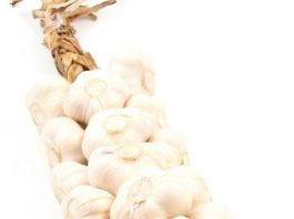 Gilroy Garlic Festival releases final tally of volunteer group yields