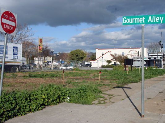 Council mulls over new arts center/library combo