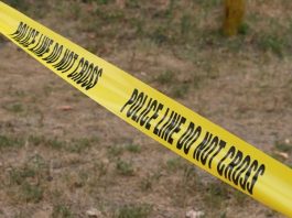 Gilroy police arrests