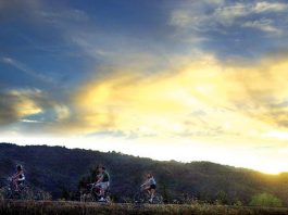 Feds poke leak in city coffers