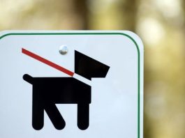 Red phone: What’s up with the barking dogs at old PD station