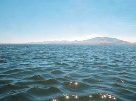 Pharmaceuticals detected in drinking water