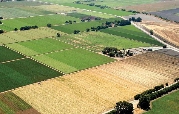 Breathing room for Gavilan