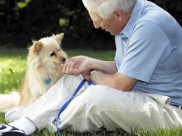Dogs and the elderly can make a great combination