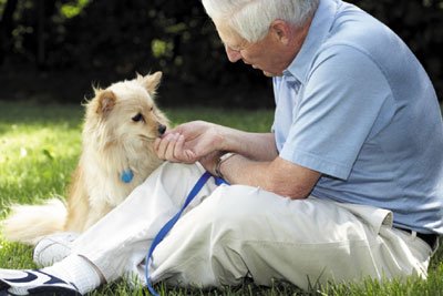 Dogs and the elderly can make a great combination