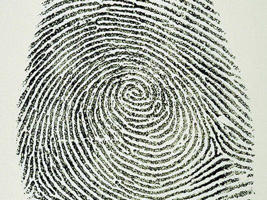 Police blotter: Two 20 year olds picked up in same car for total of 11 crimes