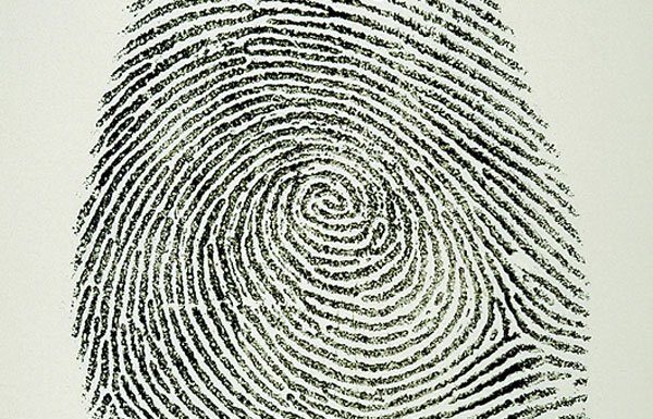 Police blotter: Two 20 year olds picked up in same car for total of 11 crimes