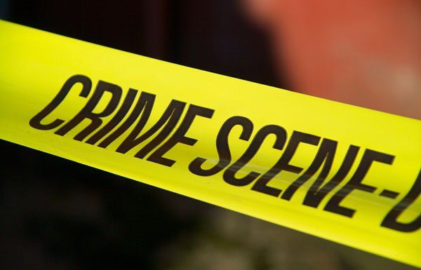 Bat-wielding Morgan Hill teen goes to juvy