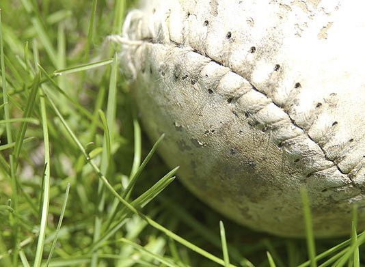 Team Beefy living large, Bracco’s Towing picks up win