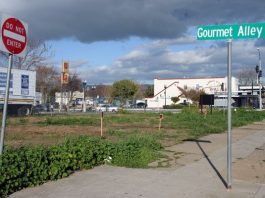 Council debates how to pay for art center, library