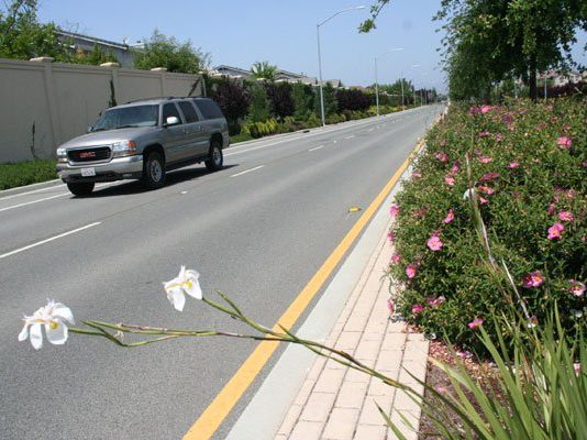 Red phone: Neighbor’s trash trashes neighborhood