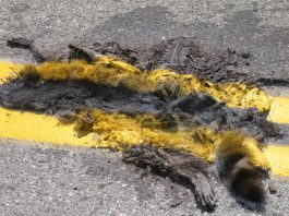 Red phone: Attentive reader draws attention to mistake