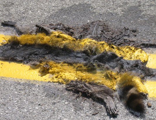 Red phone: Attentive reader draws attention to mistake