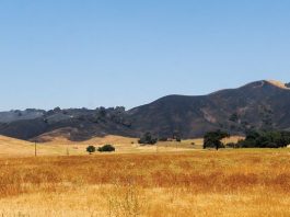 Crews close in on contained fires; area will see regrowth