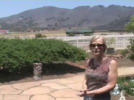 Day Road residents appalled by fire gawkers