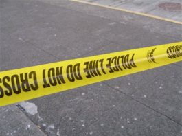 Violent, petty crimes continue on from weekend
