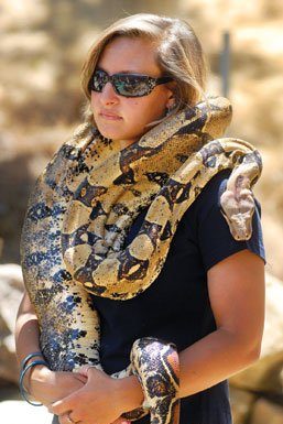 Gilroy gets taste of the wild