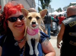 Rally visitors both warm and cold on 2nd year of new layout