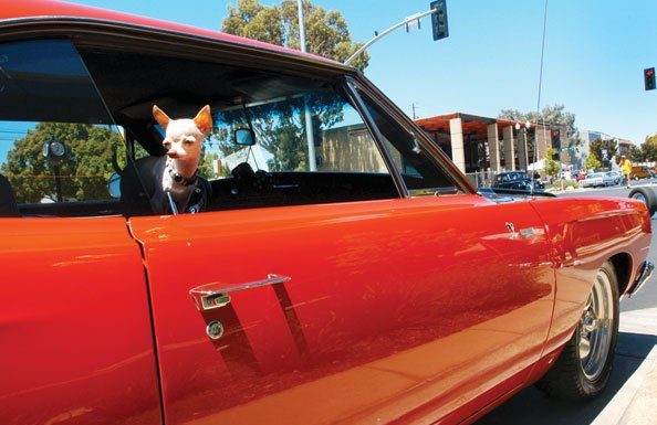 Downtown car show kicks off 30th annual Garlic Festival