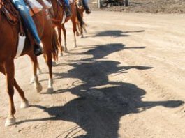 Learning on the trail