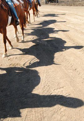 Learning on the trail