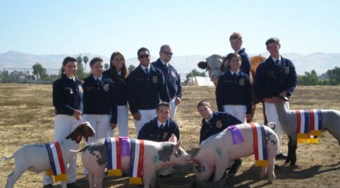 Gilroy students clean up at county fair