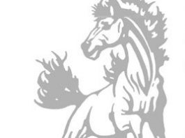 Mustangs mop up Carmel