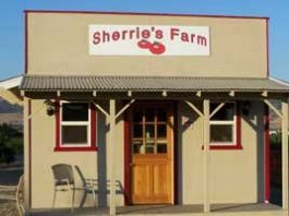 Sherrie’s scrumptious tomato stand a worthwhile visit