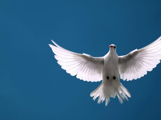 Tensions surround peaceful funeral