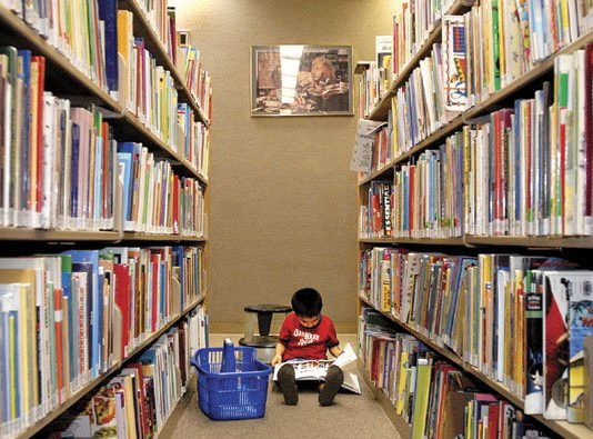 Pro-library bond group forges ahead