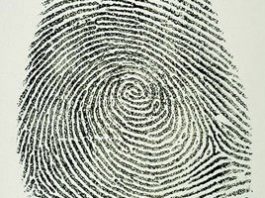 Sheriff’s blotter: San Martin woman arrested for embezzlement