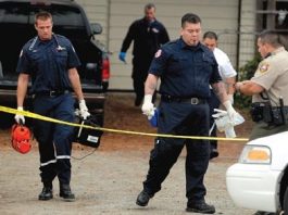 Expert: Child murder cases ‘not unthinkably rare’