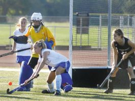 Top five stories of 2008