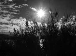 Winter sunshine on our shoulders