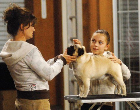 Winning all around: a Gilroy girl and her dog