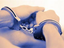 Sheriff’s blotter: Attempted horse theft, crops ruined