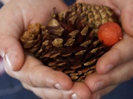 Briefs: Nonprofit gets grant to expand preschool services