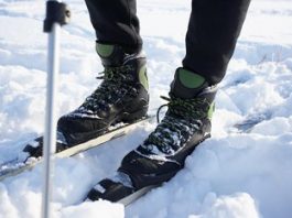 Synthetic snow could blanket SE MH