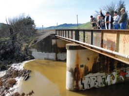 A lot to CHEER about