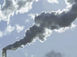 Restrictions on wood burning lifted until November