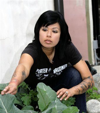 Dollars from dirt: Economy spurs home garden boom