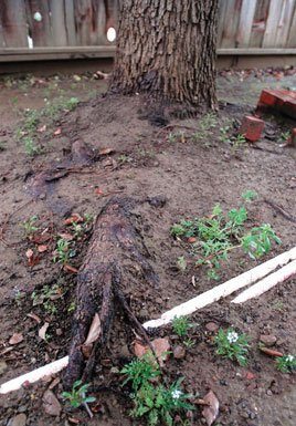 A kink in the spiritual pipes