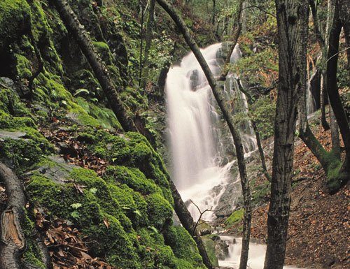 Getting out: A local mountain stream