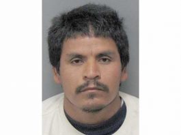 Homeless man caught masturbating in woman’s backyard