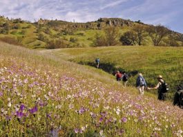Getting out: Volunteer at a park