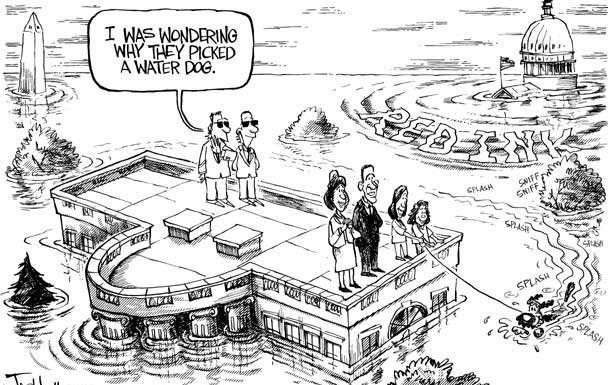 Editorial cartoons: Dog choice holds water