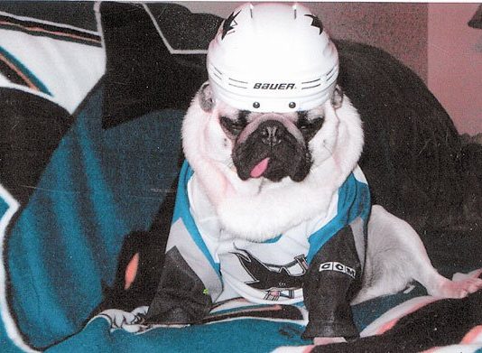 Ready for a Stanley Cup