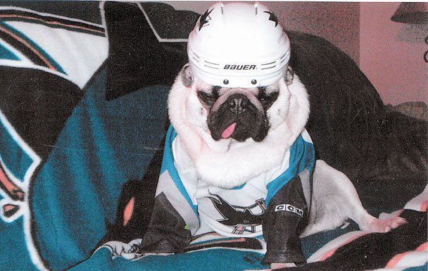 Ready for a Stanley Cup