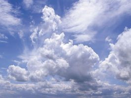 Getting Out: Jepson Prairie Preserve