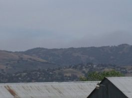 Updated: Wildfire near Coe Park 80 percent contained